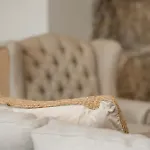 Casa Marucas 컨트리하우스 *