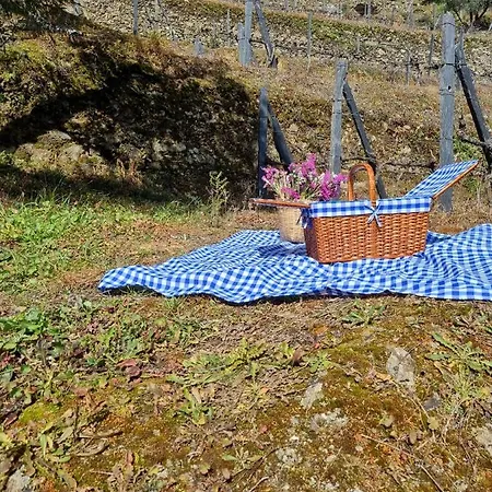 Casa Marucas