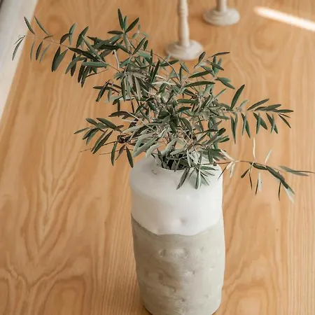 Casa Marucas * Peso da Régua