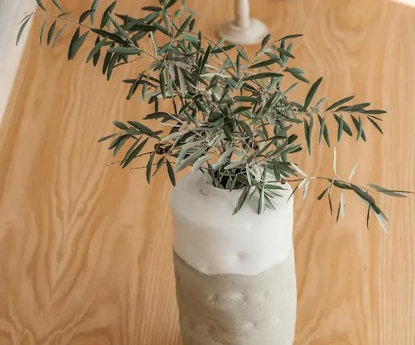 Casa Marucas * 페소다레과