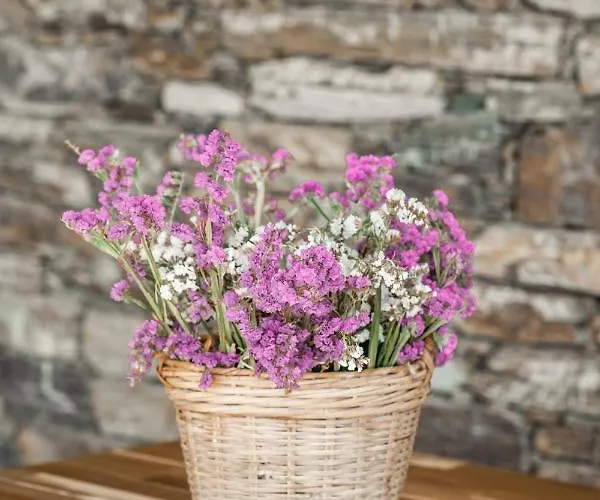 Casa Marucas Landhaus Peso da Régua